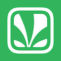 Saavn