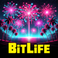 BitLife: Life Simulator